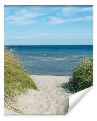 Path between the sand dunes overlooking the sea  with blue sky
