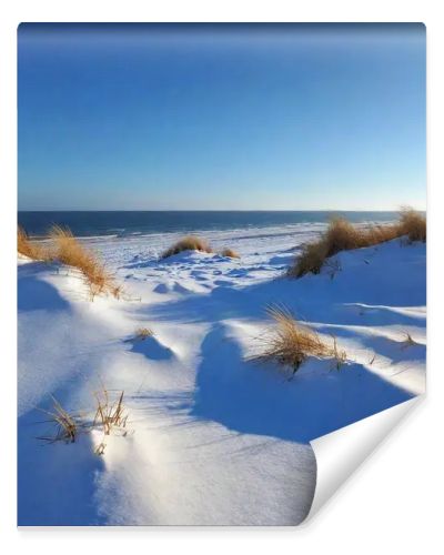 snow, dunes, north sea, blue sky, winter