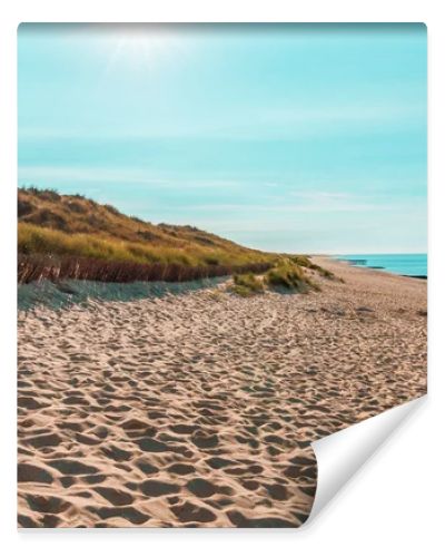 Sunny landscape on Sylt island with the beautiful beach and a blue sky, on a sunny day