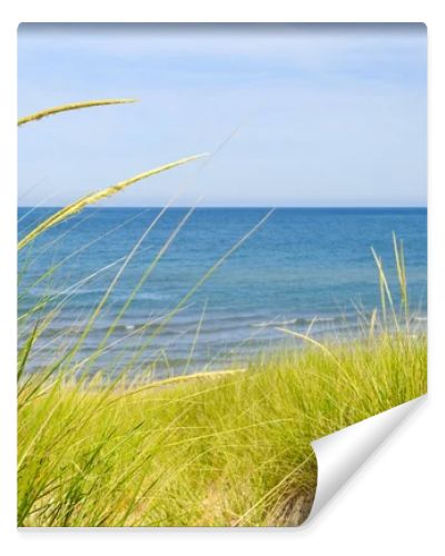 Sand dunes at beach