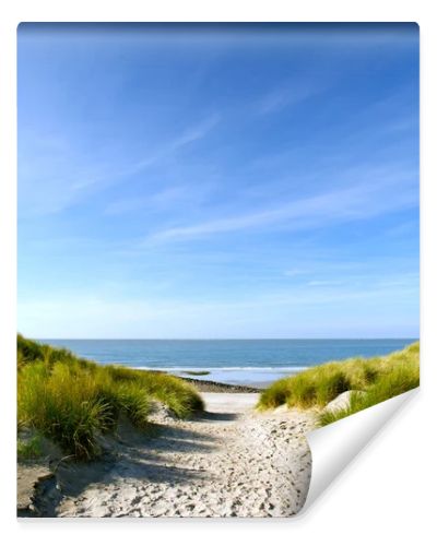 Beach and sand dunes