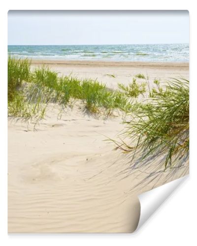 Sandy dunes on a beach of Jurmala.