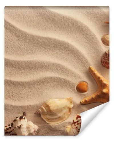 Sea shells with sand