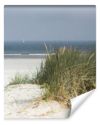 Dutch dunes