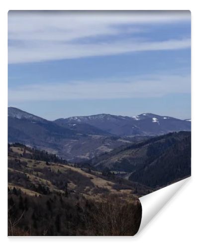 Scenic view of spruce trees on hills and mountains at background 