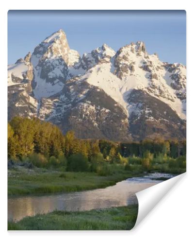 Grand Teton mountains with stream in morning light