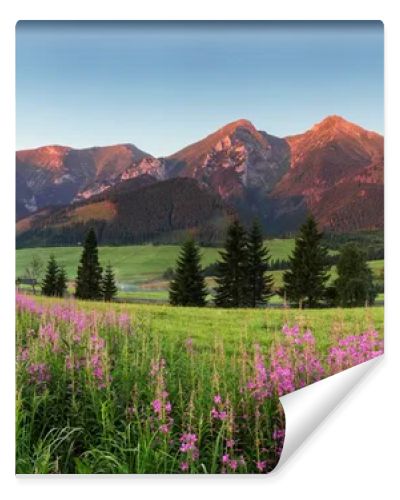 Beauty mountain panorama with flowers - Slovakia