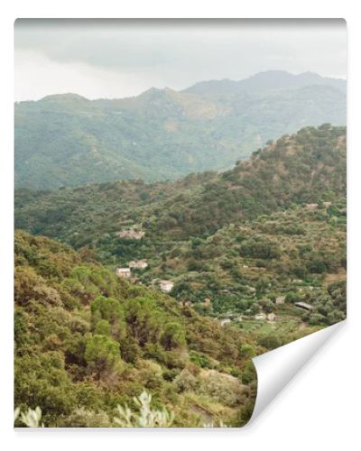 selective focus of trees in mountains against sky with clouds 