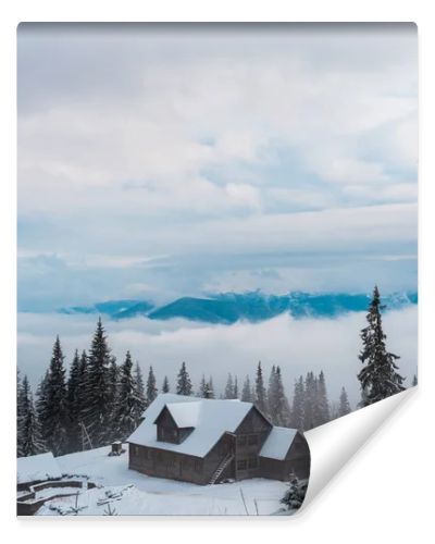 scenic view of snowy mountain village with pine trees and wooden houses