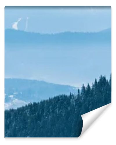 scenic view of snowy mountains with pine trees and white fluffy clouds, panoramic shot