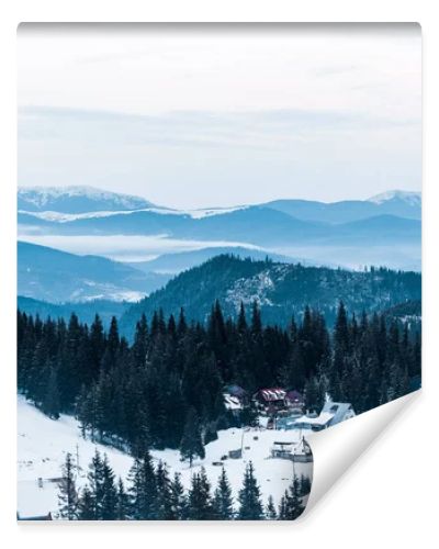 scenic view of snowy mountains with pine trees and small village