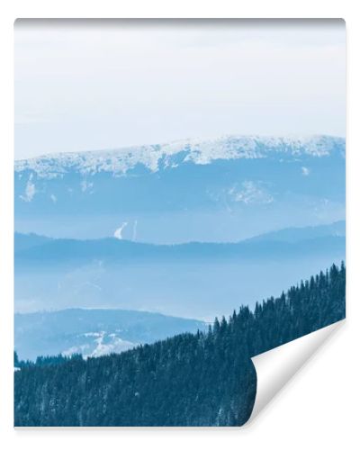 scenic view of snowy mountains with pine trees and white fluffy clouds