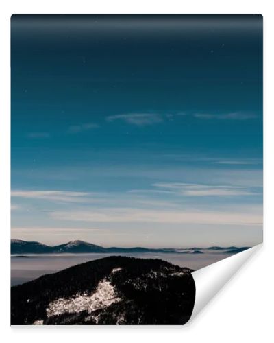 scenic view of snowy mountains with pine trees and white fluffy clouds in dark sky in evening