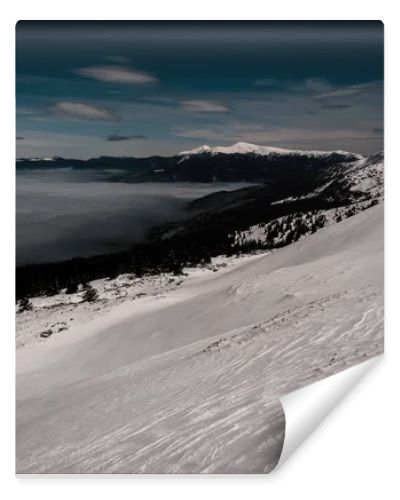 scenic view of snowy mountains with pine trees and white fluffy clouds in dark sky in evening