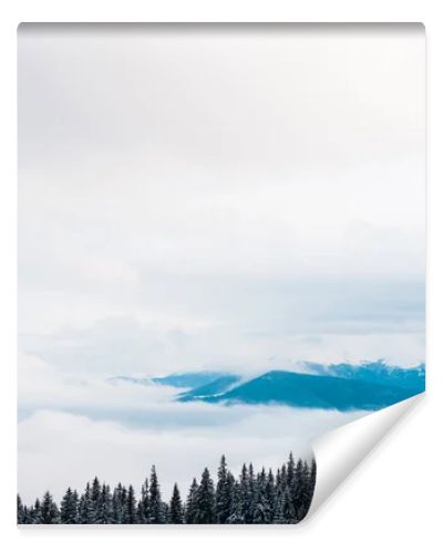 scenic view of snowy mountains with pine trees and white fluffy clouds