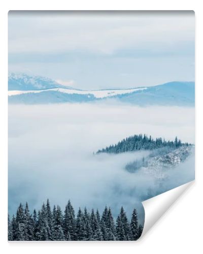 scenic view of snowy mountains with pine trees in white fluffy clouds