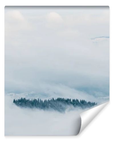 scenic view of snowy mountains with pine trees in white fluffy clouds