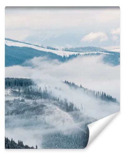 scenic view of snowy mountains with pine trees in white fluffy clouds