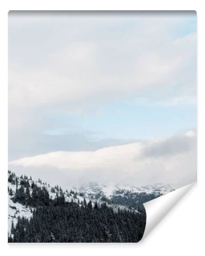 scenic view of snowy mountains with pine trees in white fluffy clouds