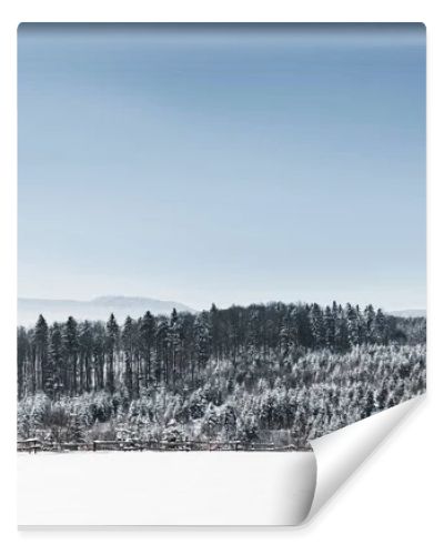 landscape with forest and carpathian mountains covered with snow