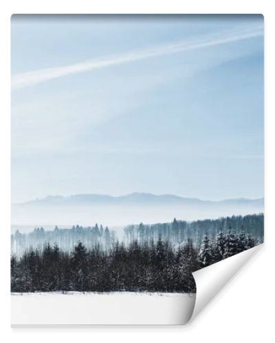 blue cloudy sky with sunshine and winter snowy mountain forest in carpathians