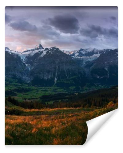 scenic view of fields and mountains under overcast sky