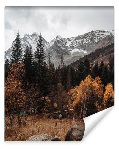 Beautiful autumn landscape in the black mountains, stones lie on the yellow dry grass. Trees with golden leaves and green pines at the foot of the snowy mountains. Gray sky, autumn, winter. Dombay