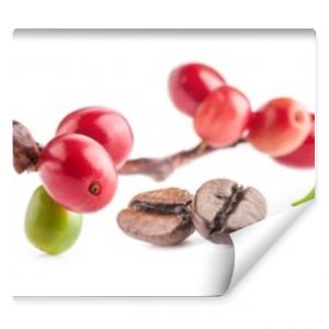 Collection of Red coffee beans isolated on white background