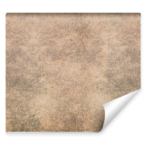 Stara brązowa rustykalna skórzana tekstura Panorama tło długie