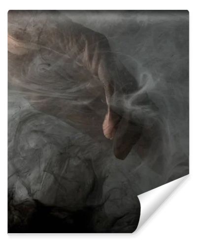 partial view of male hand in grey smoke