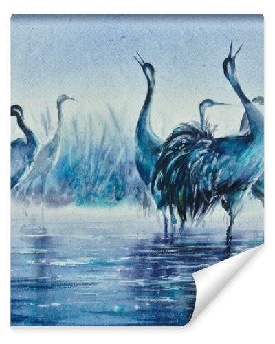 Cranes in the misty morning wading in the lake water. Reeds in the background. Picture created with watercolors.