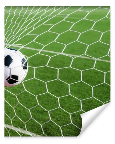 Soccer football in Goal net with green grass field.