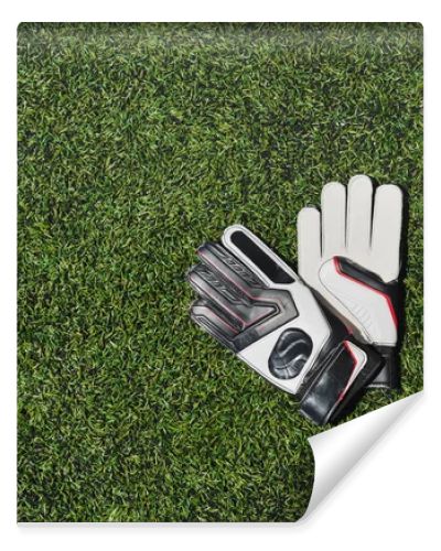 goalkeeper gloves on pitch