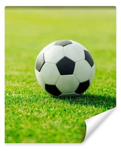 soccer ball on grass