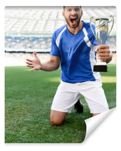 professional soccer player in blue and white uniform with sports cup standing on knees on football pitch and shouting at stadium