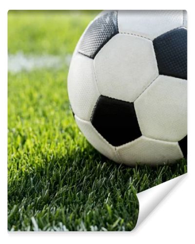 soccer ball on grass