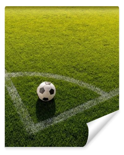 soccer ball on grass