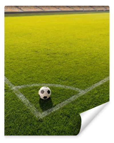 soccer ball on grass