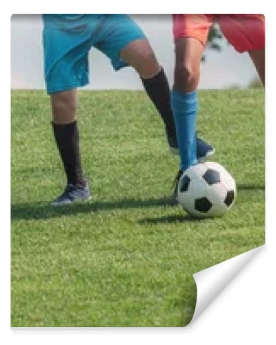 panoramic shot of multicultural children playing football on grass 