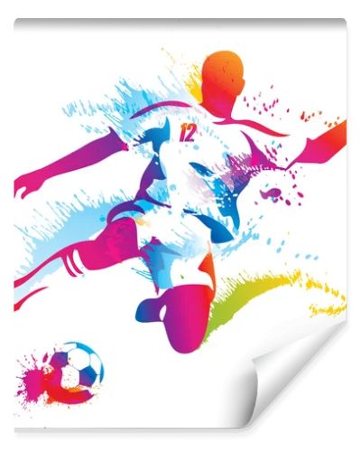 Soccer player kicks the ball. The colorful vector illustration w