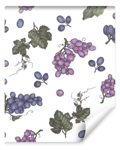 Seamless pattern with bunches of grapes. Detailed hand-drawn sketch, vector illustration.