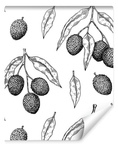 Hand drawn seamless pattern with lychee fruits, branches and leaves. Vector illustration in botanical sketch style