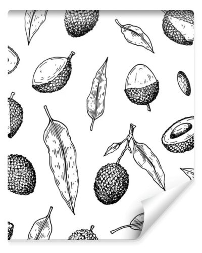 Hand drawn seamless pattern with lychee fruits and leaves. Vector illustration in botanical sketch style