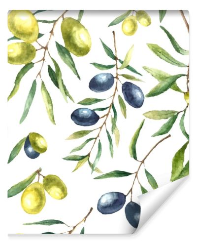 Watercolor olive branch background.