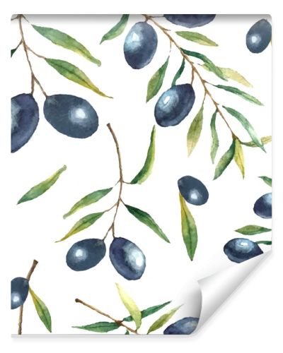 Watercolor olive branch background.
