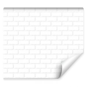 Mur en briques blanches vecteur