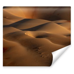 Closeup photo of desert digital wallpaper