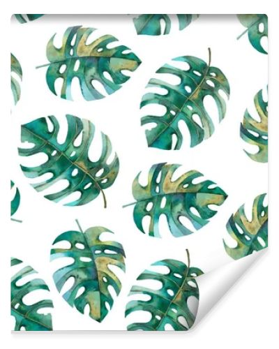 seamless pattern with botanical illustration, monstera leaves, tropical pattern