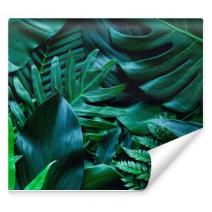 closeup tropical green leaf background. Flat lay, fresh wallpaper banner concept