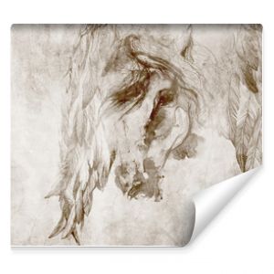 Horse with wings on the wall. Design for wallpaper, mural, wall decoration, poster.